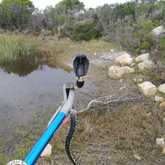 Rinkhals - Walker Bay Fynbos Conservancy - Xplorio™ Gansbaai