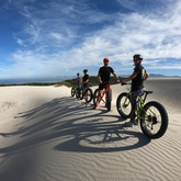 Ocean views, whales and fun on the sand - Fatbike Tours - Xplorio™ Gansbaai