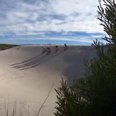 Fun on the dunes - Fatbike Tours - Xplorio™ Gansbaai