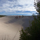 Fun on the dunes - Fatbike Tours - Xplorio™ Gansbaai Fun on the dunes - Fatbike Tours - Xplorio™ Gansbaai