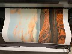 Hermanus Fynarts Festival