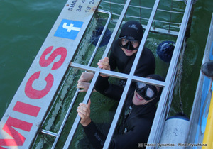 Daily Blog: 25 May 2021 | Shark Cage Diving in South Africa