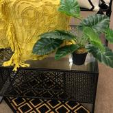 New Winter Interior Ranges Arrived - Hermanus Factory Shop - Xplorio™ Hermanus