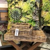 New Winter Interior Ranges Arrived - Hermanus Factory Shop - Xplorio™ Hermanus