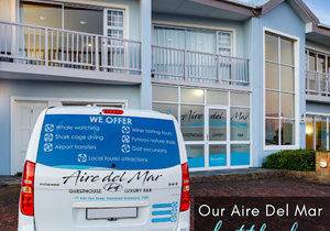 Our Aire del Mar Shuttle Bus