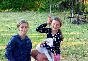 Beloftebos Farm Cottages: ‘n Kinderparadys!