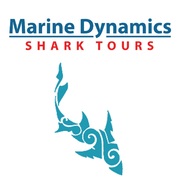 9 June 2021: Next Marine Dynamics Shark Cage Diving Tour