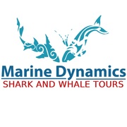 10 June 2021: Another Fin Tastic Day on the Sea