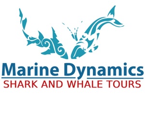 10 June 2021: Another Fin Tastic Day on the Sea