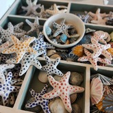 Ceramics - Lili & Co - Xplorio™ Kleinmond