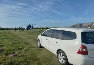 Shark Cage Diving Trip