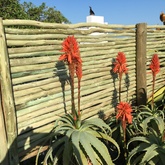 Lathe Privacy Barrier Extensions - The Beach House Hub - Xplorio™ Gansbaai