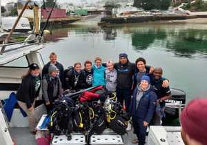 Diving in Simons Town