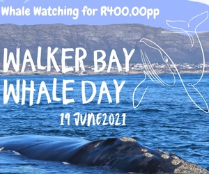 19 June 2021: Walker Bay Whale Day