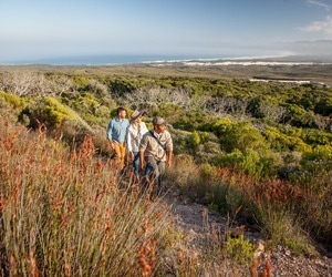 Walking Trails in Gansbaai