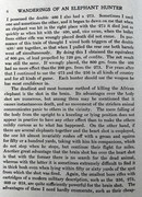 The Wanderings of an Elephant Hunter 