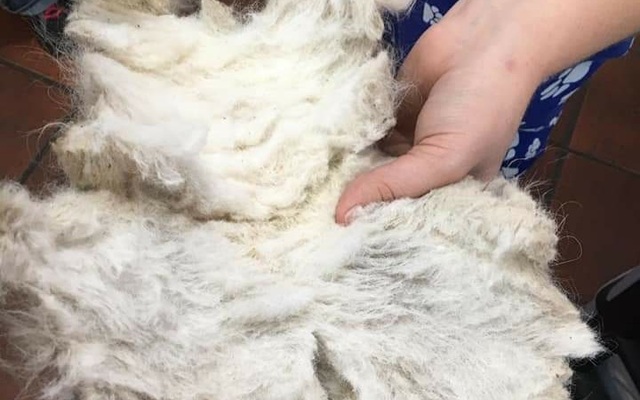 WhatsApp_Image_2021_06_23_at_11.35.44_1624441166