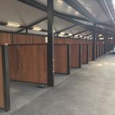 Spalted - Auckland Racecourse - Xplorio™