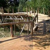 Spalted - Decking at the dock 2 - Xplorio™ Gansbaai