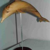Spalted - Wooden Dolphin - Xplorio™ Gansbaai