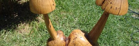 Wooden_Mushrooms_1625486281