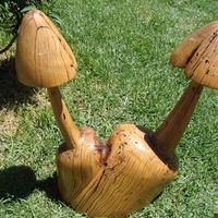 Spalted - Wooden Mushrooms - Xplorio™ Gansbaai