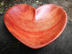 What does Spalted mean?