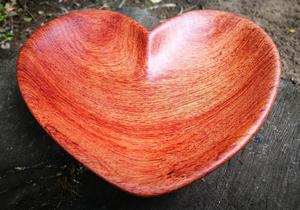 What does Spalted mean?