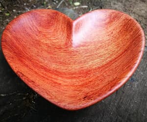 What does Spalted mean?