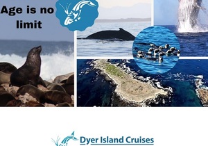 Next Dyer Island Marine Big 5 Trip: 6 July 2021