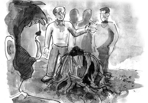 Welwitschia Mirabilis