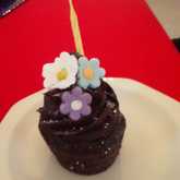 Cupcake - Cake Delights - Xplorio™ Bredasdorp