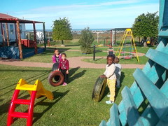 Pikkewyntjies Jungle Gym