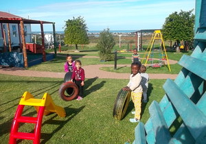 Pikkewyntjies Jungle Gym