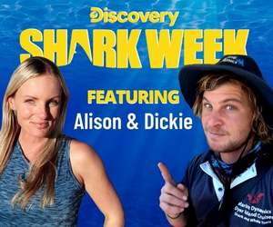 Shark Week 2021 ft Dickie Chivell and Alison Towner