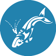 Next Dyer Island Marine Big 5 Tour: Thursday, 15 July 2021