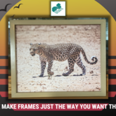 Frame - M + S Designs - Xplorio™ Gansbaai