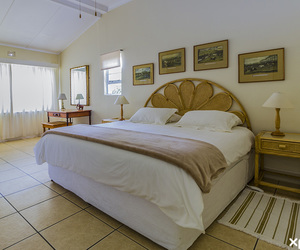 Pet-Friendly Accommodation in Hermanus this Whale Season