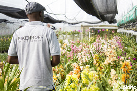 Orchid Potting & Care Workshop