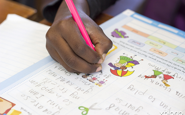 pringle_bay_education_pringle_house_eco_school_dbe_boks_languages_1536922323_1626947398