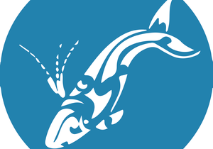 Next Dyer Island Marine Big 5 Tour: Saturday, 24 July 2021