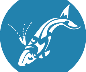 Next Dyer Island Marine Big 5 Tour: Saturday, 24 July 2021