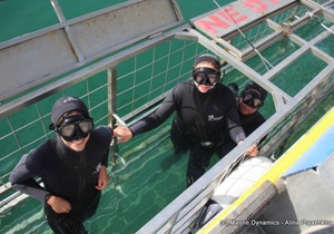 Daily Blog: 25 July 2021 | Shark Cage Diving in South Africa