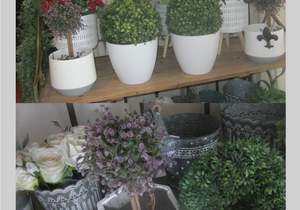 Beautiful Plant Pot Holders