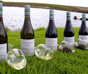 FREE Gift Worth R100 Upon Signup