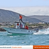 Dyer Island Conservation Trust - Xplorio™ Gansbaai 