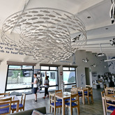 African Penguin & Seabird Sanctuary - Xplorio™ Gansbaai 