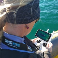 The Whale Unit - Xplorio™ Hermanus