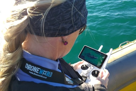 57cf722b_8c27_4930_8362_2beaa8137406_1627822478