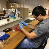 The Whale Unit - Xplorio™ Hermanus